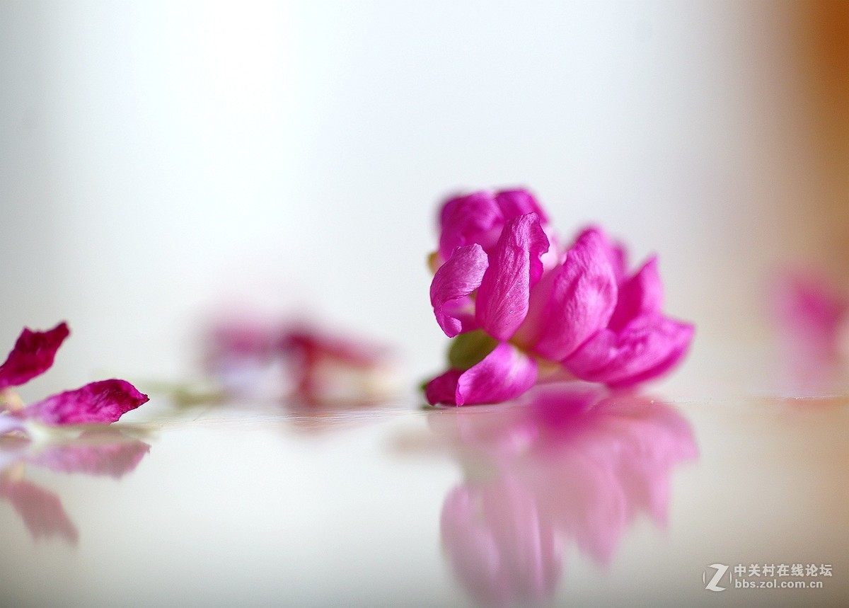 感受美能达的色彩