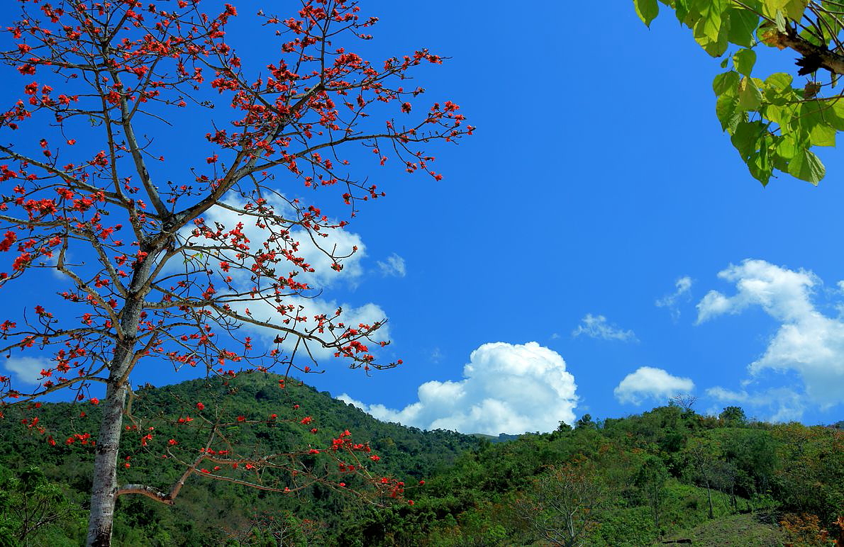 《海南昌江霸王岭风光》