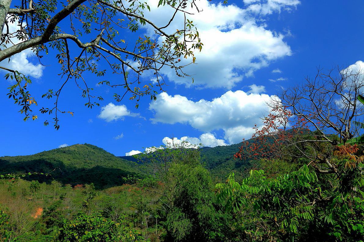 《海南昌江霸王岭风光》