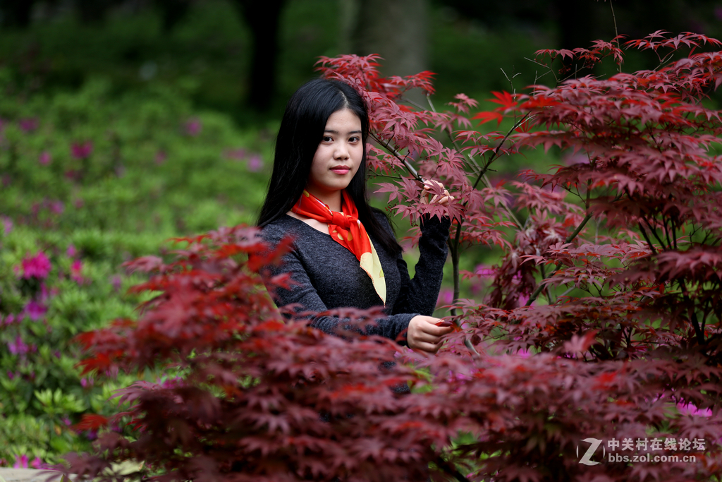 風景美女人像測試新顯示器