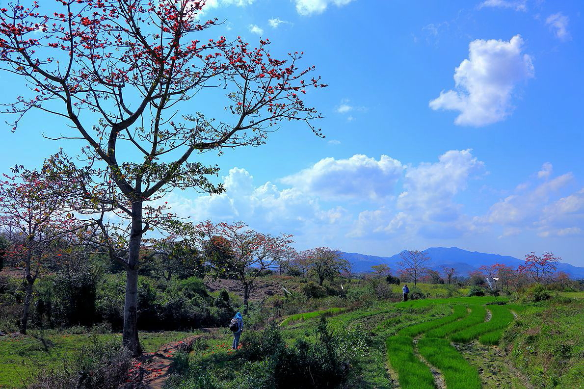 《海南昌江霸王岭风光》