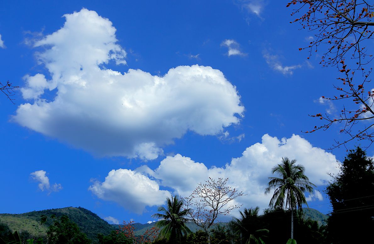《海南昌江霸王岭风光》