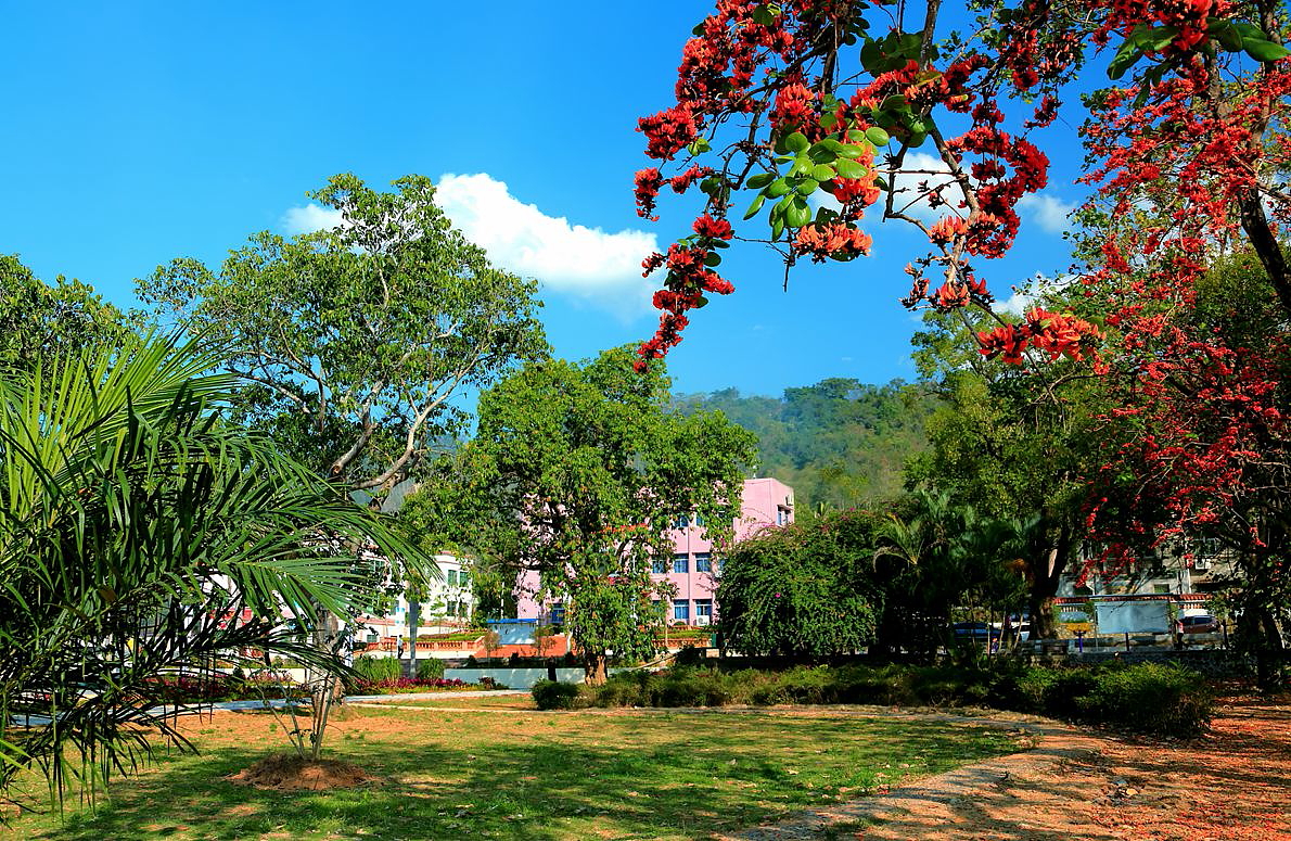 《海南昌江霸王岭风光》