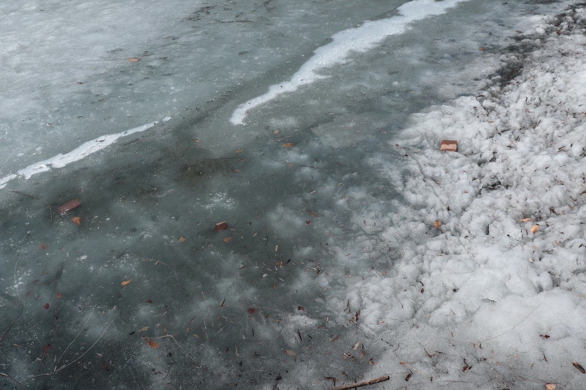 近乎无色彩的哈尔滨之春       2020.4.9