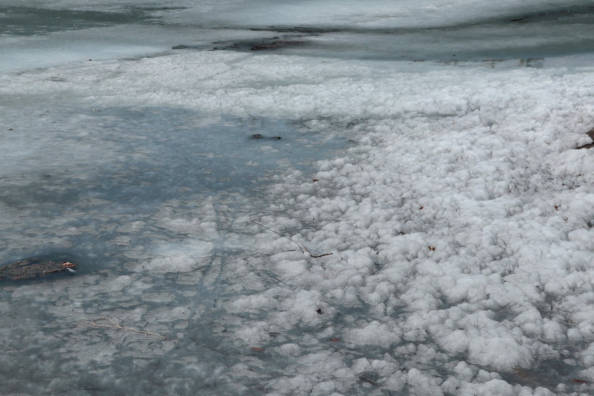 近乎无色彩的哈尔滨之春       2020.4.9