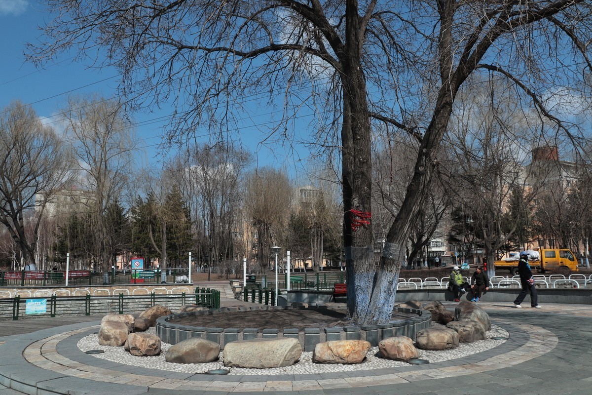 近乎无色彩的哈尔滨之春       2020.4.9