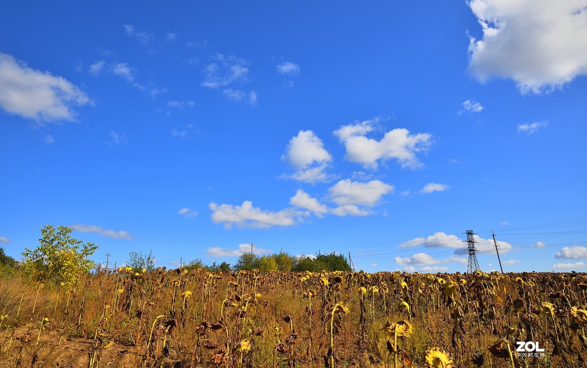 哈尔科夫乡村风光 【壹】