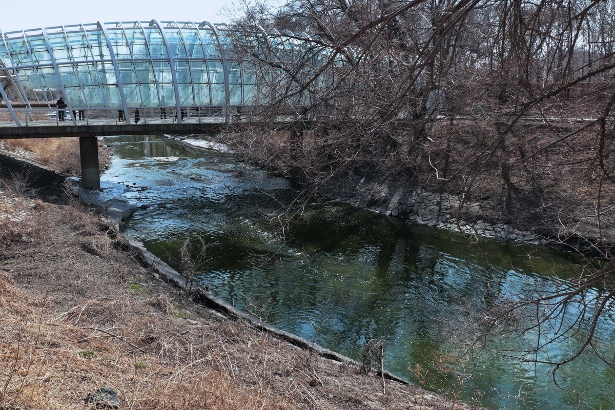 近乎无色彩的哈尔滨之春       2020.4.9