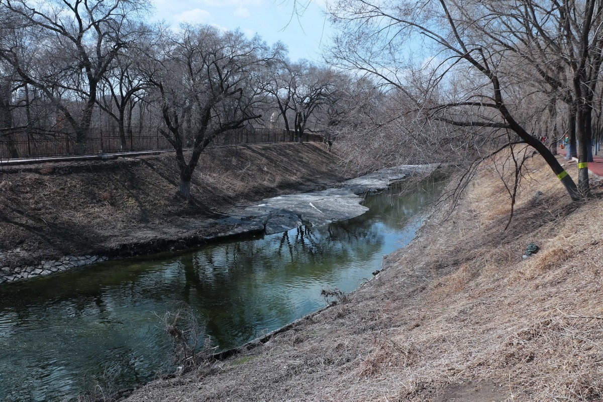 近乎无色彩的哈尔滨之春       2020.4.9