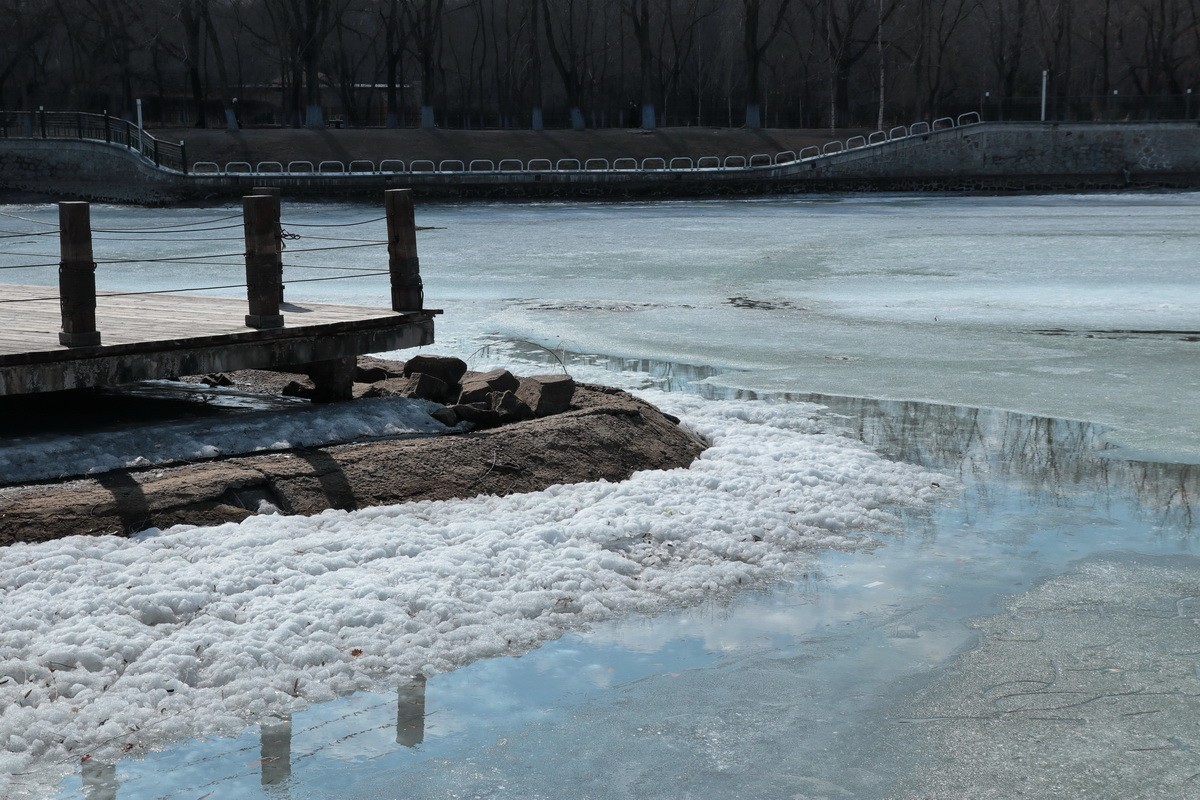 近乎无色彩的哈尔滨之春       2020.4.9