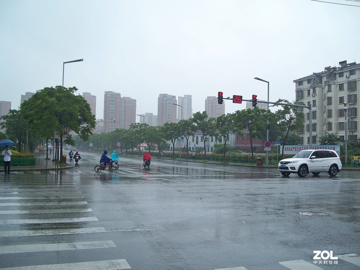 雨中即景~一手打大伞，一手拿相机有点费劲