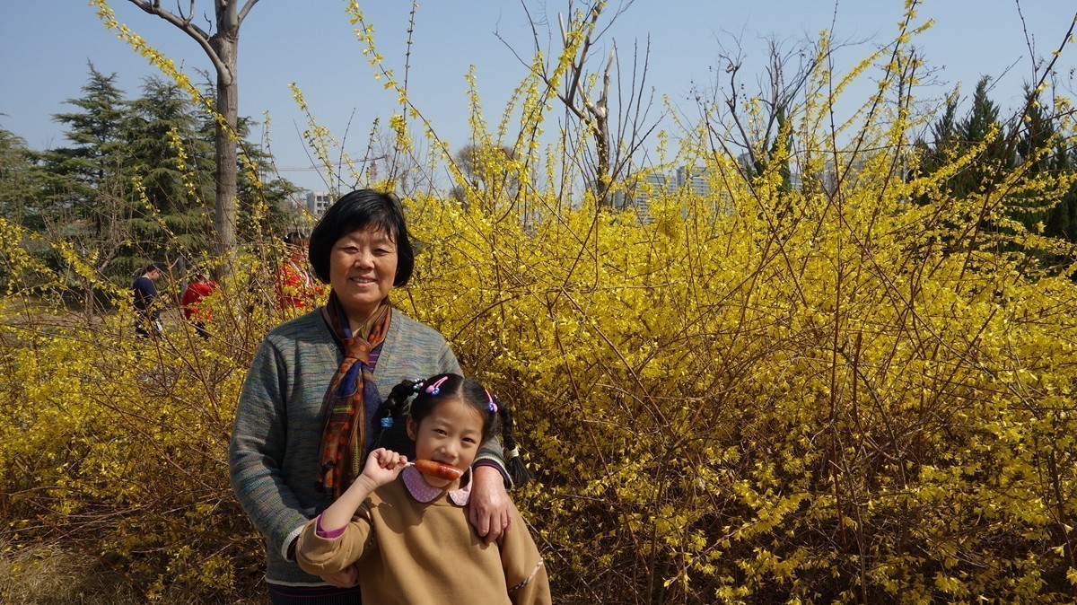 齐盛湖公园踏春和人民公园冬游