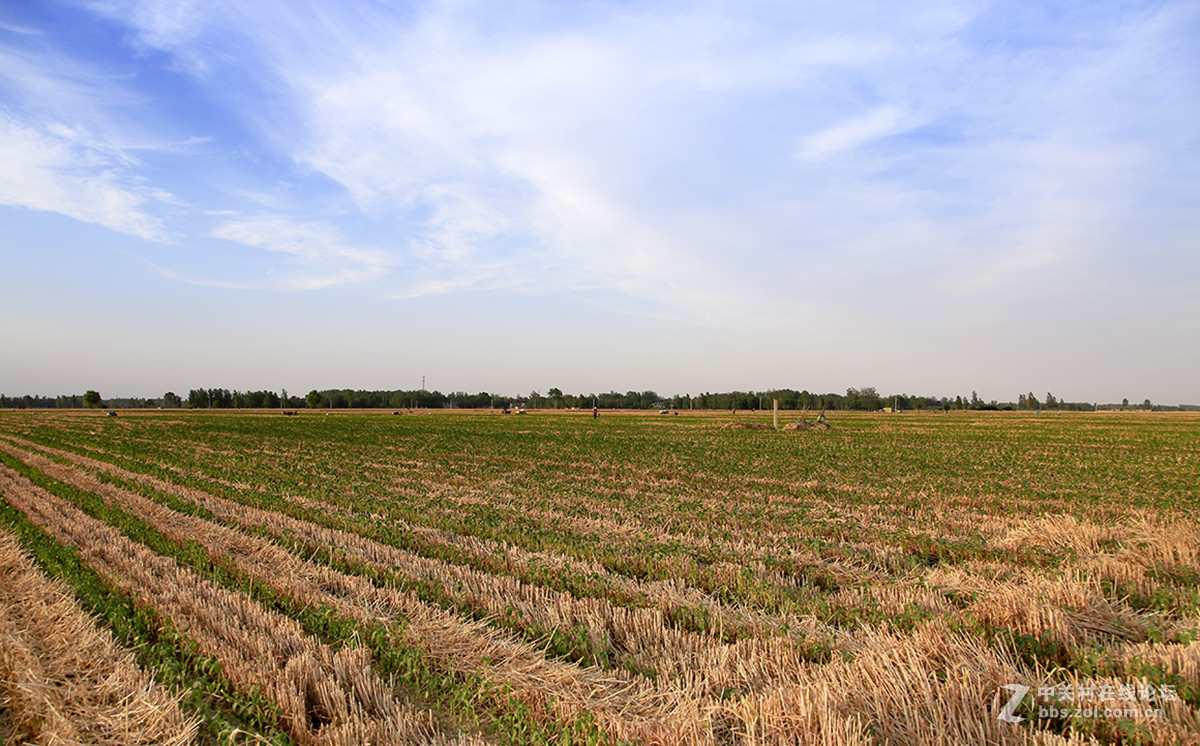 遍地英雄下夕烟