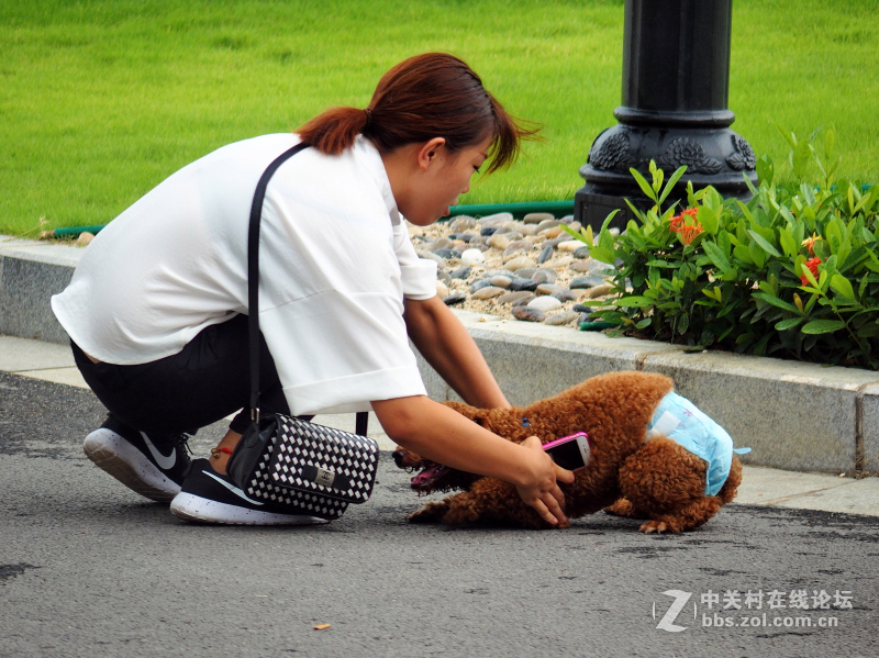 奥林巴斯STYLUS 1s【练手】汪星人