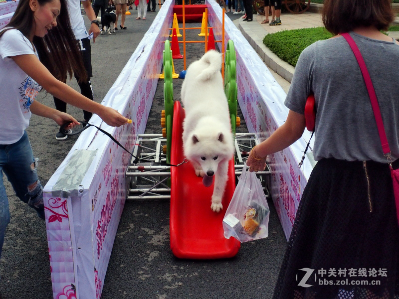 奥林巴斯STYLUS 1s【练手】汪星人