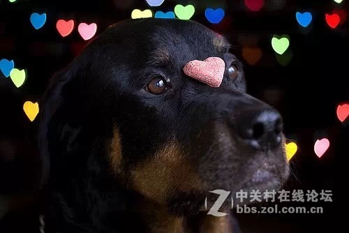 心形夜景光斑怎么拍?夜景拍照技巧