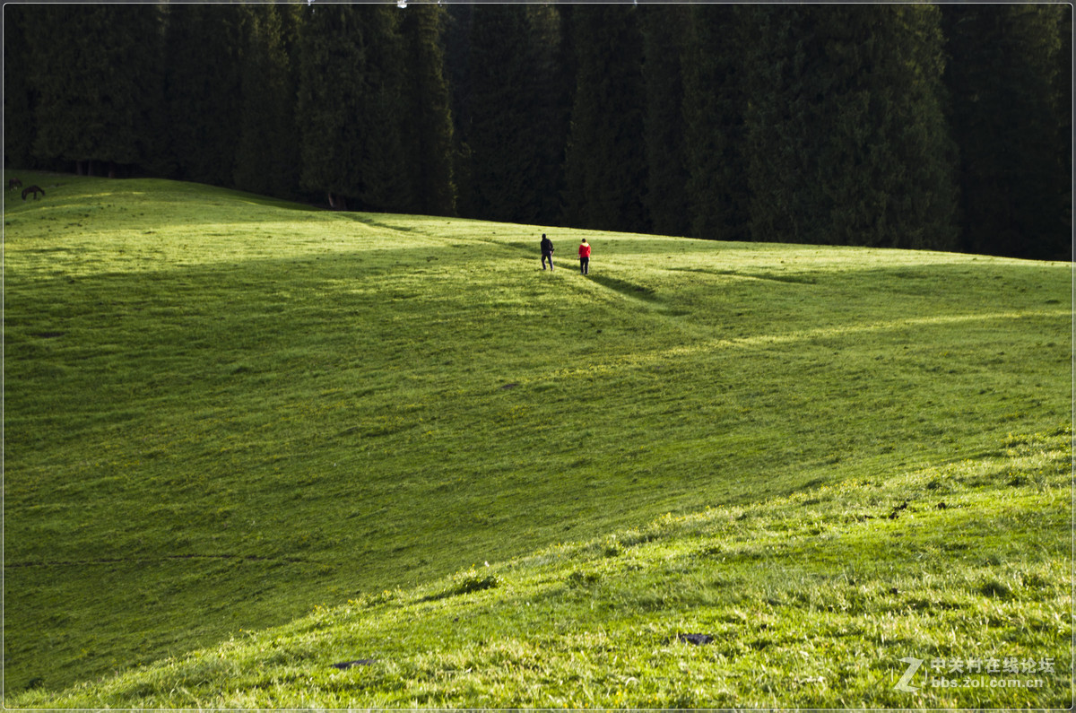 五一徒步伊犁巩留腊子口-库尔德宁-漠合