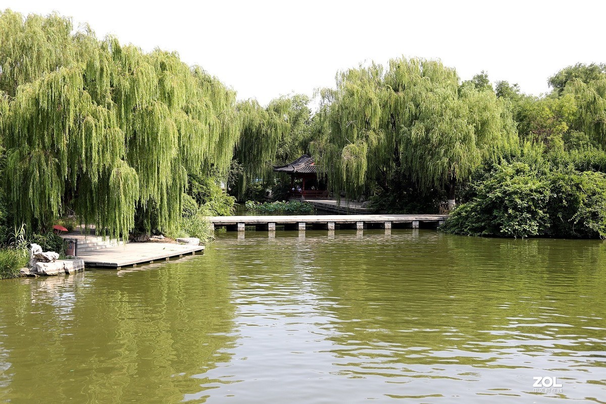 50头 游大明湖  ，天太热，拍不到妹子