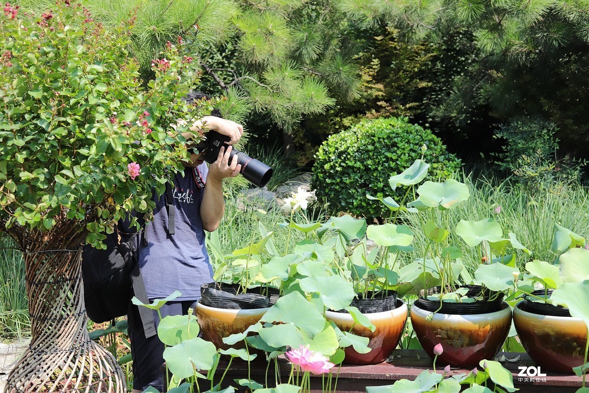 50头 游大明湖  ，天太热，拍不到妹子