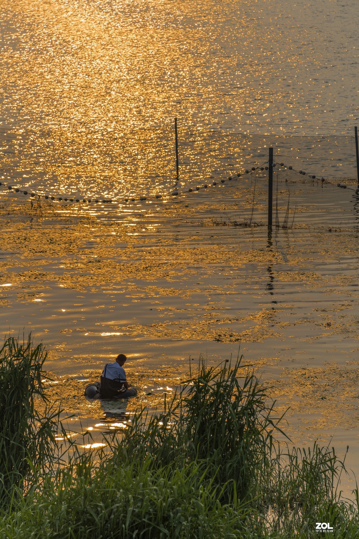 5月份的太湖湖畔