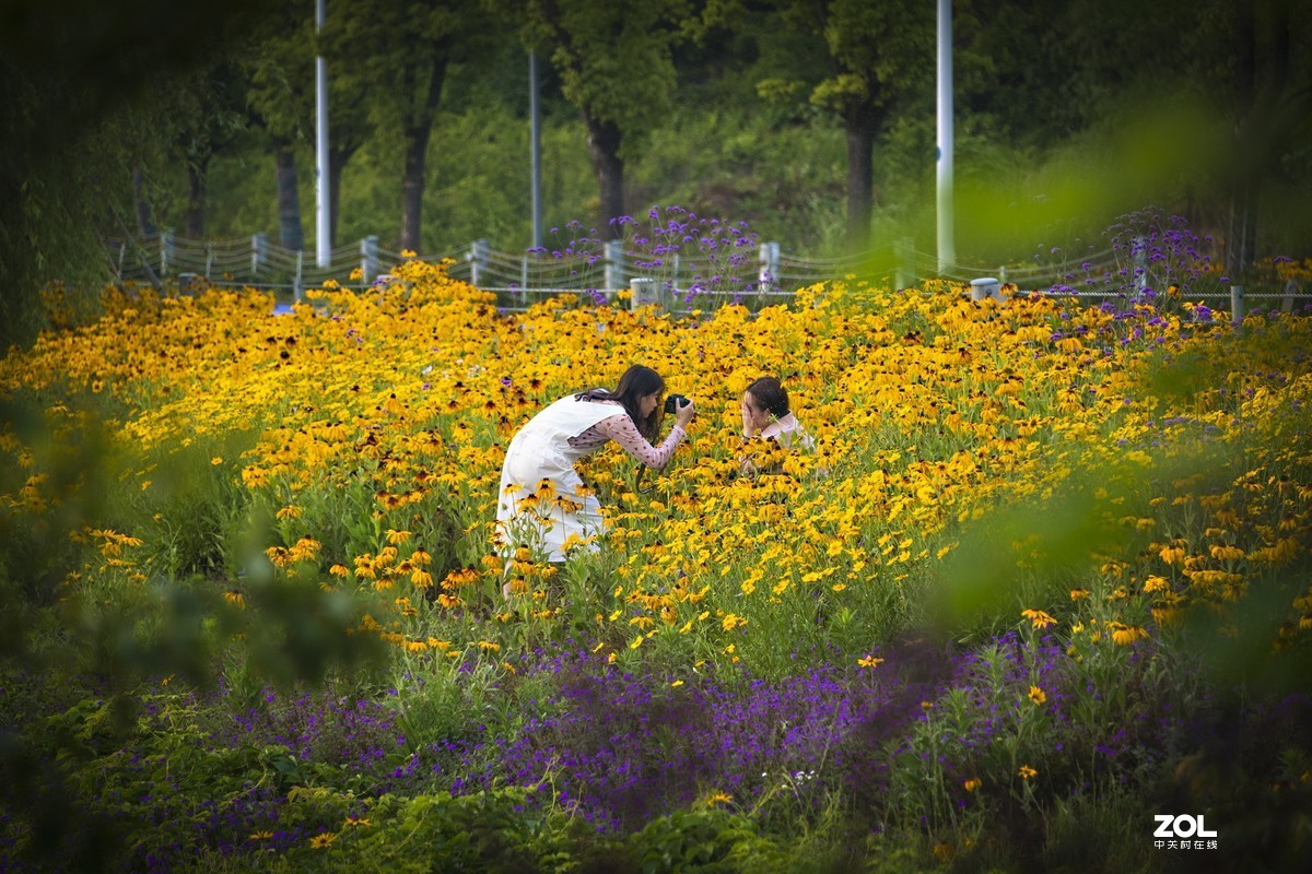 5月份的太湖湖畔