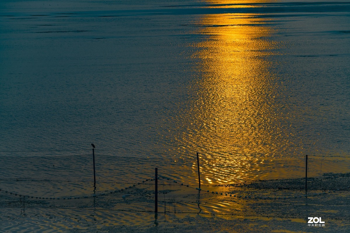 5月份的太湖湖畔