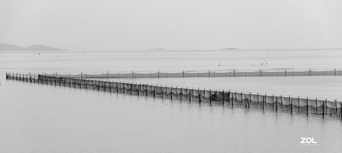 5月份的太湖湖畔
