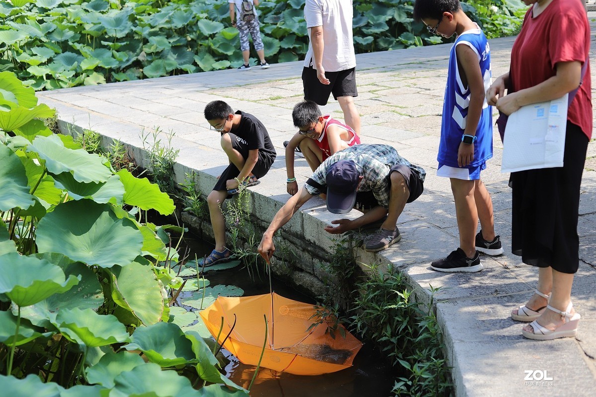 50头 游大明湖  ，天太热，拍不到妹子