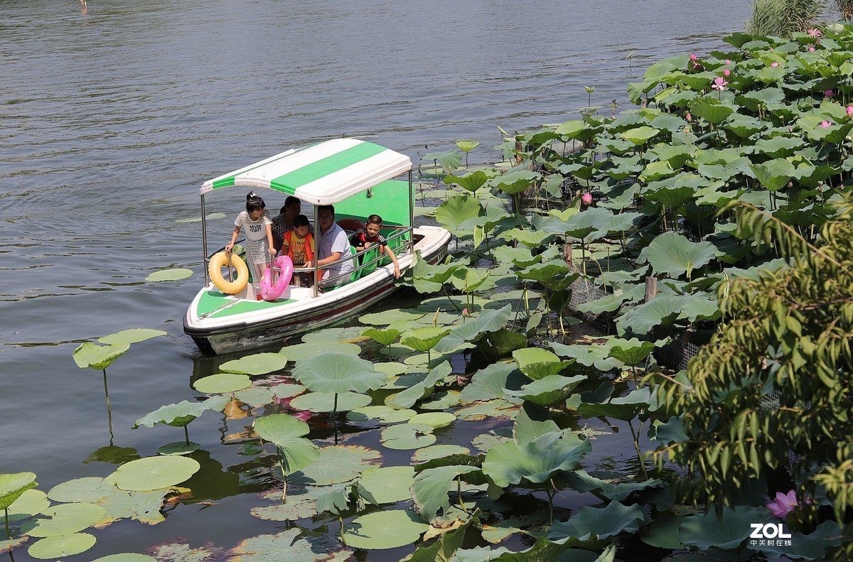 50头 游大明湖  ，天太热，拍不到妹子