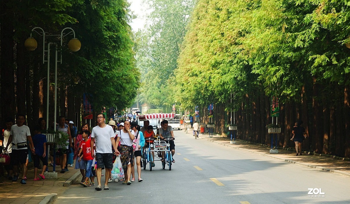 旅游日照海边公园《1》