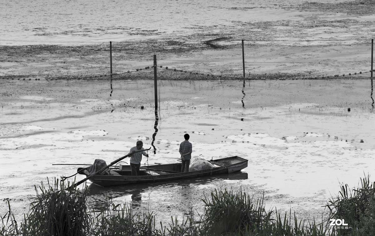 5月份的太湖湖畔