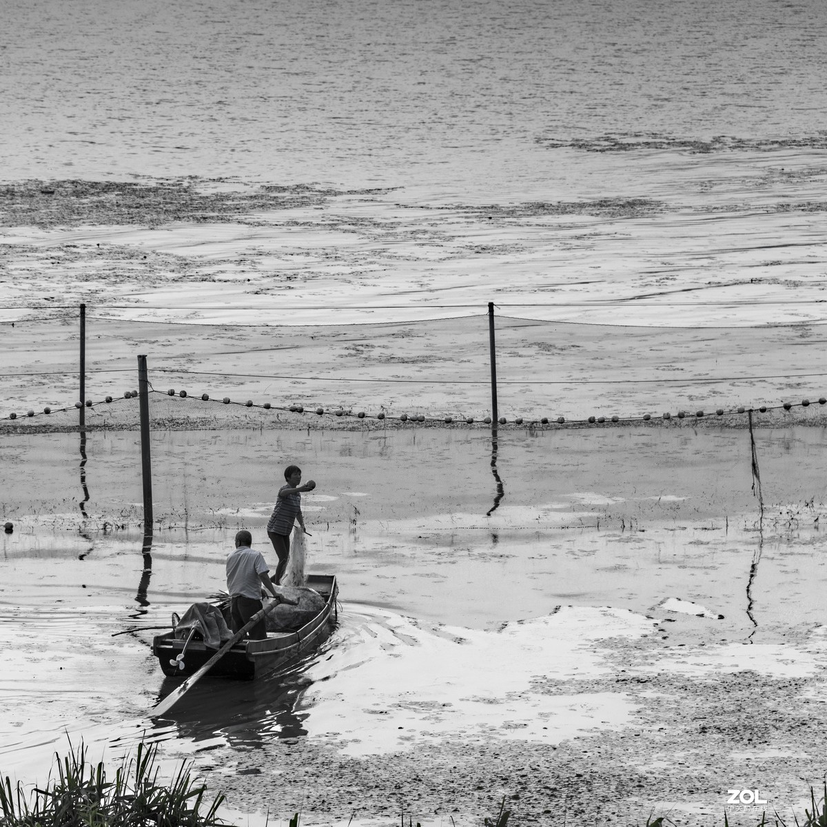5月份的太湖湖畔