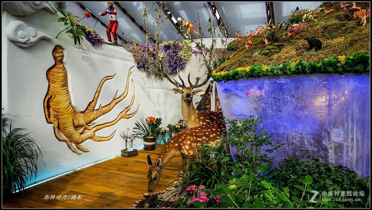 北京2019世界园艺博览会（NEX-5R） 七