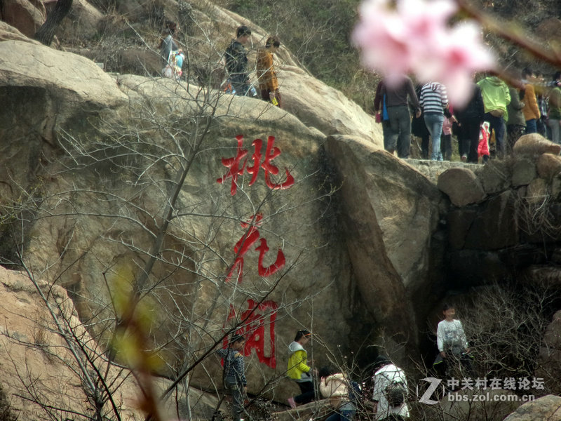 2105桃花涧