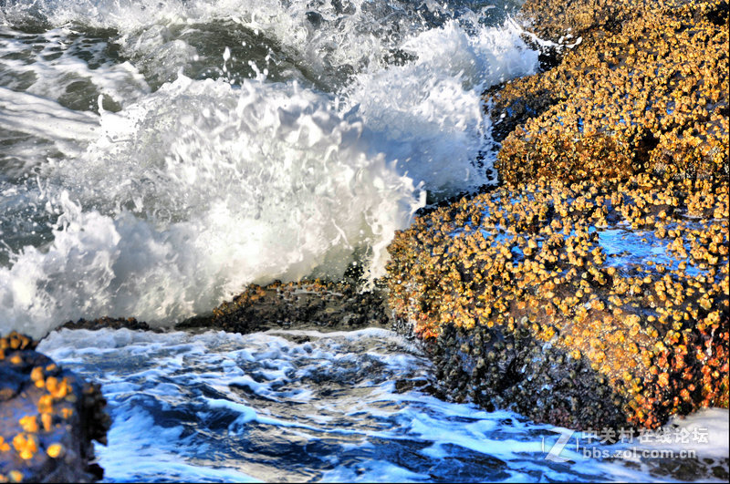 福建夏门----火山岛风光（重发）