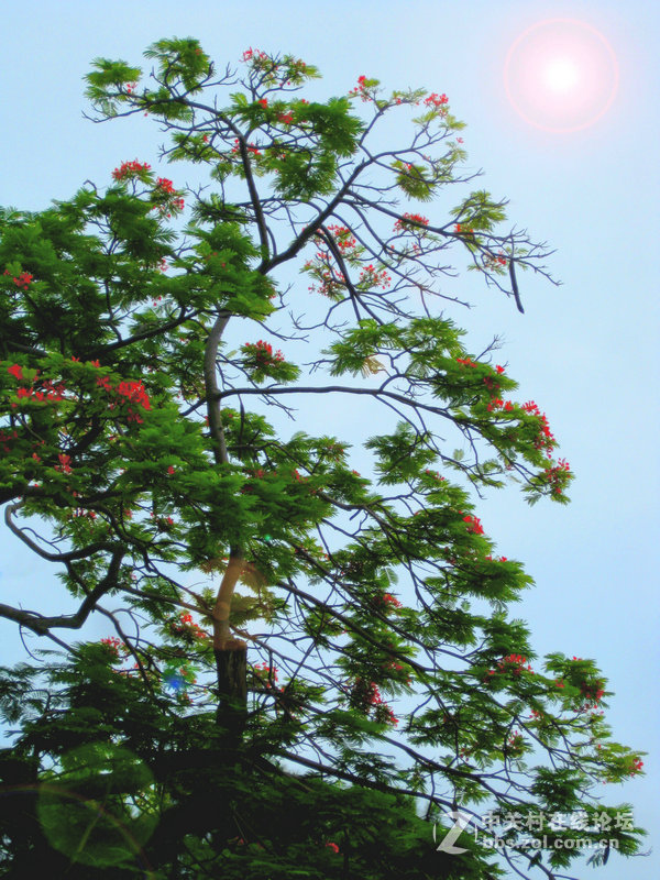 福建夏门----火山岛风光（重发）