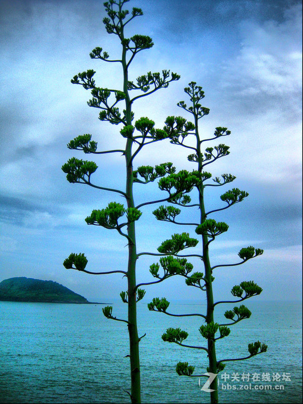 福建夏门----火山岛风光（重发）