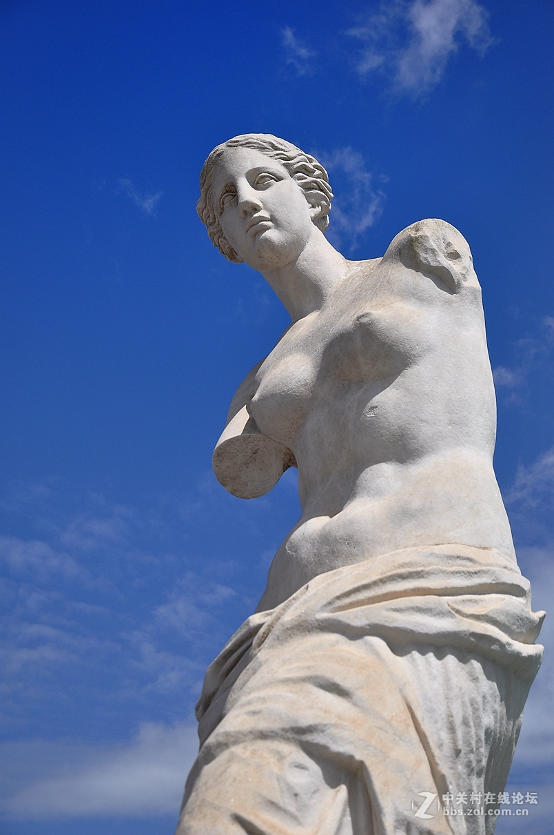 大卫雕像中的女性图片
