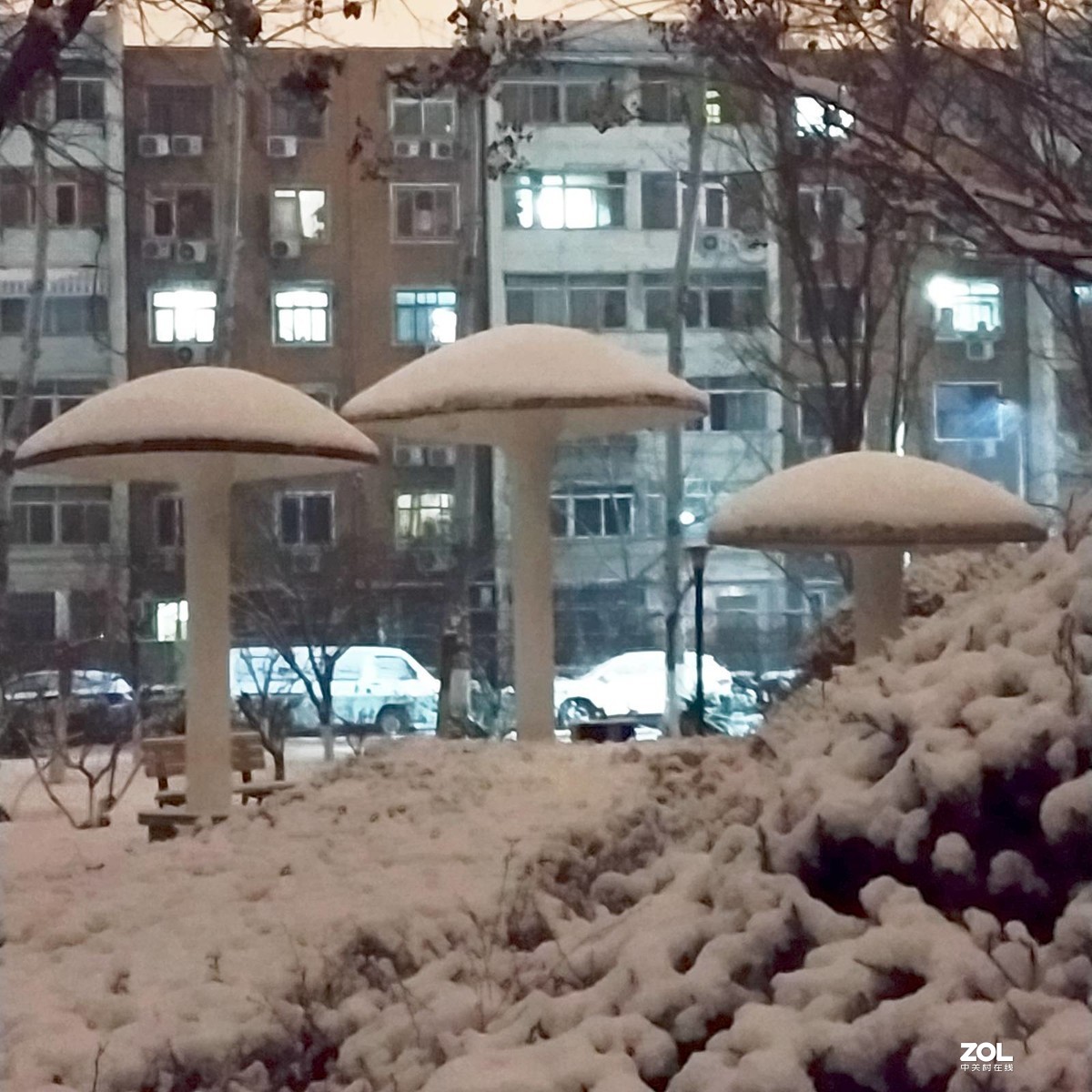 北京：春雪好兆头