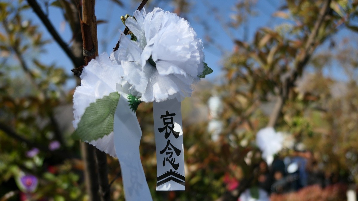 迎接英雄归故里