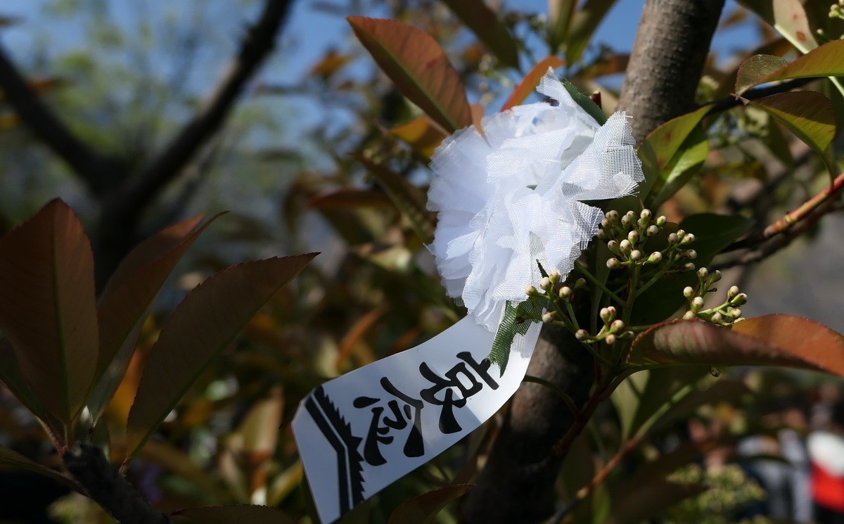 迎接英雄归故里