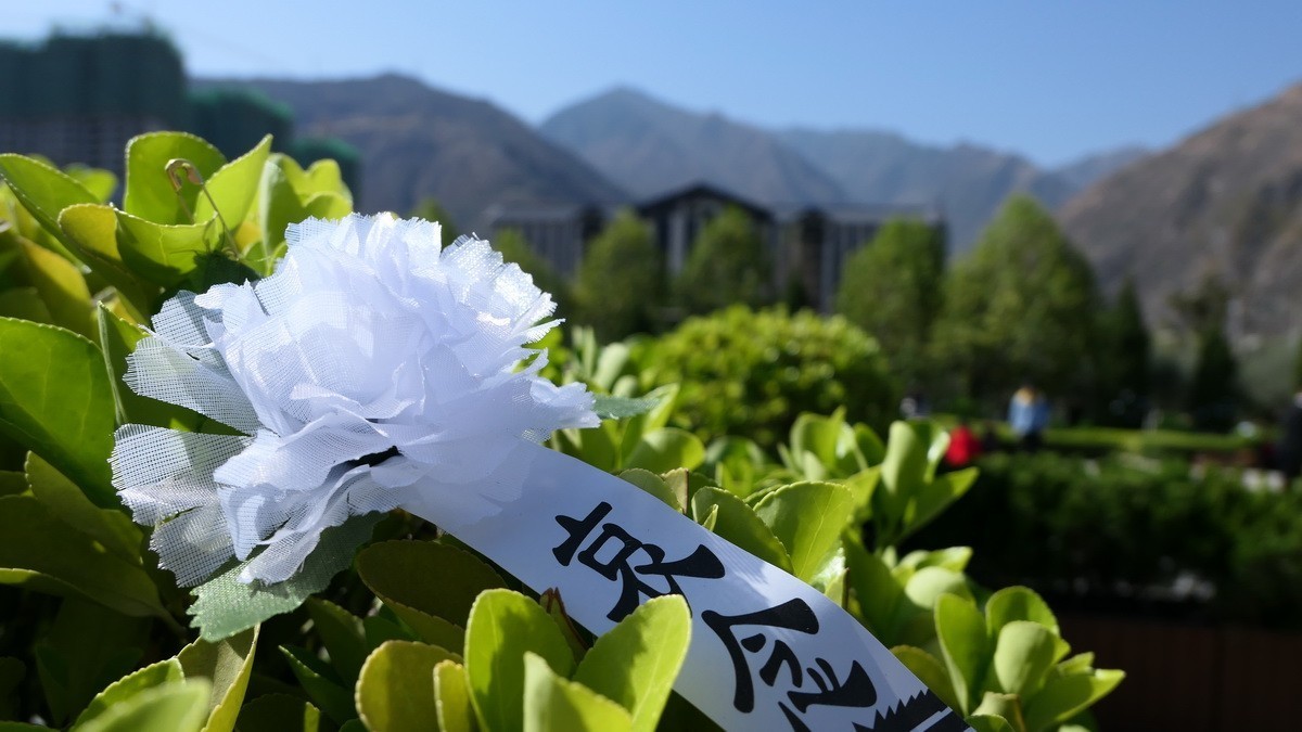 迎接英雄归故里