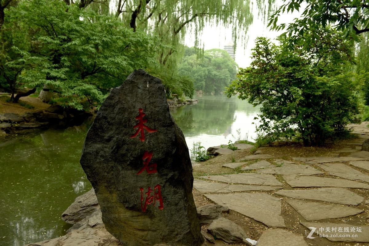 北大校园里的夏日清凉——未名湖畔