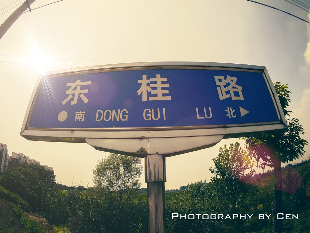 大热天闲逛随拍