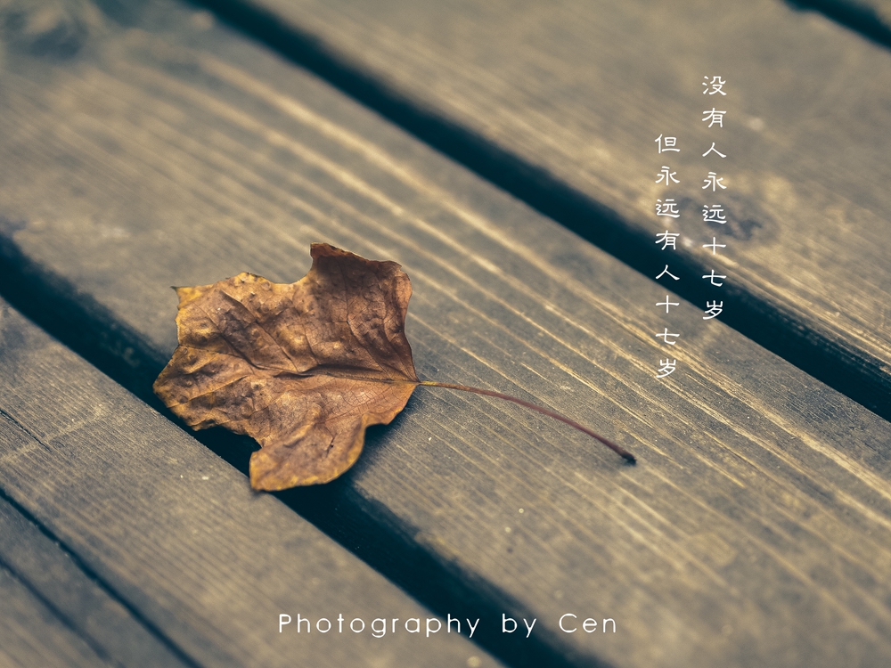 大热天闲逛随拍