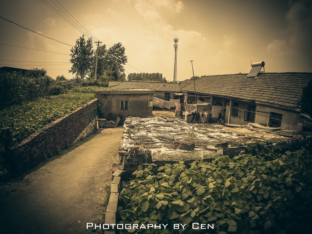 大热天闲逛随拍