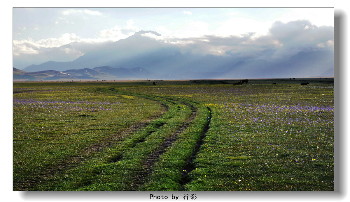 【赛里木湖】-人间天堂