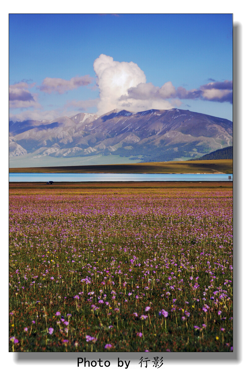 【赛里木湖】-人间天堂