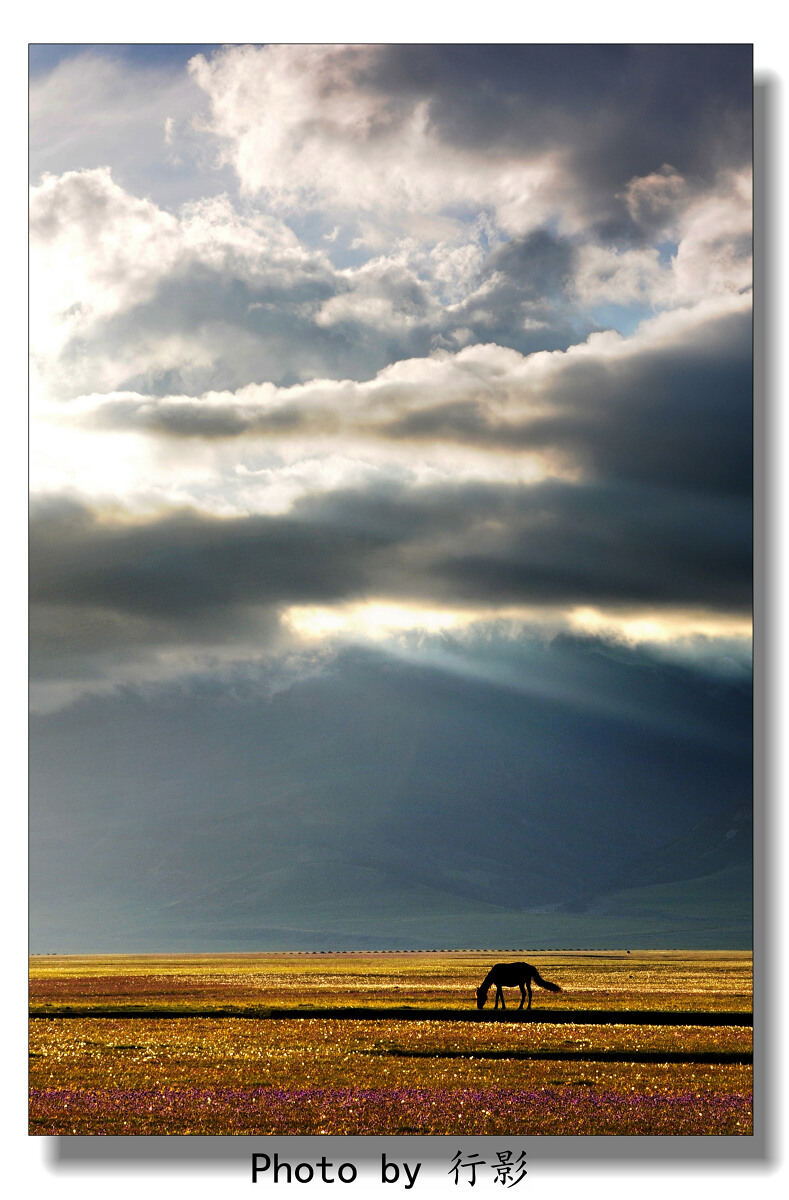 【赛里木湖】-人间天堂