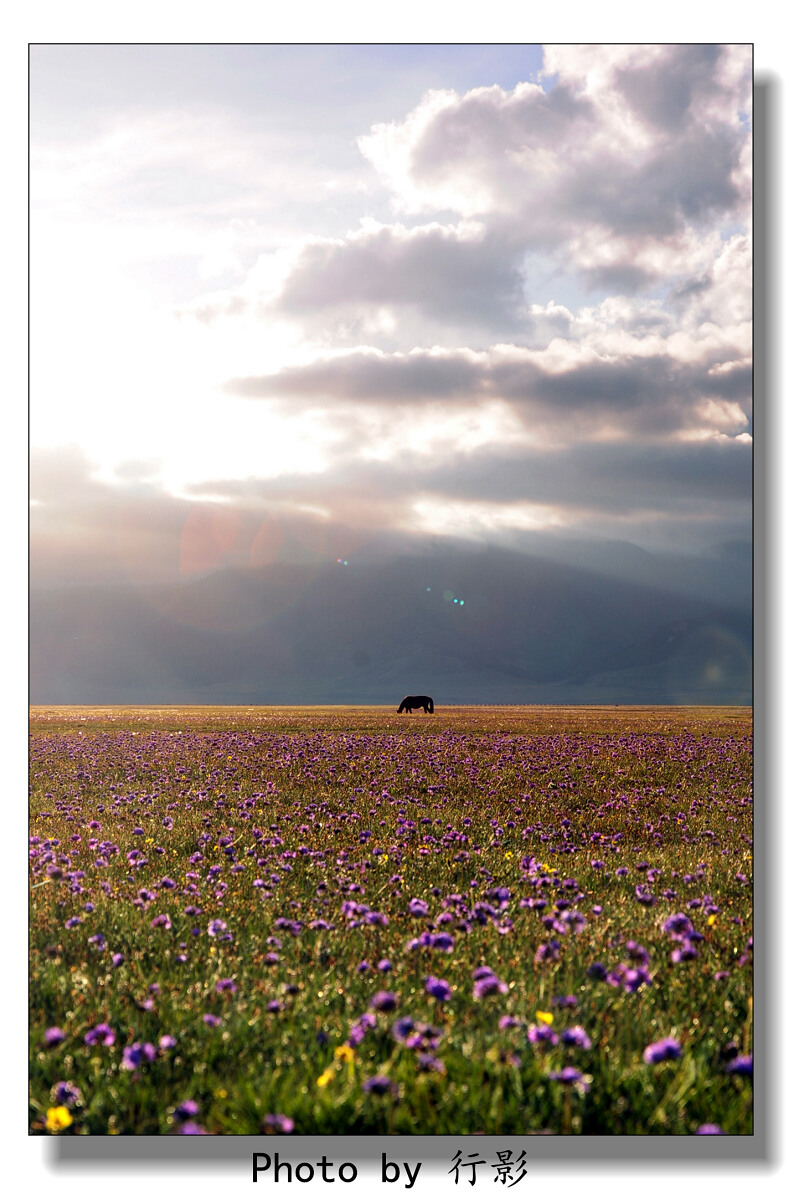 【赛里木湖】-人间天堂